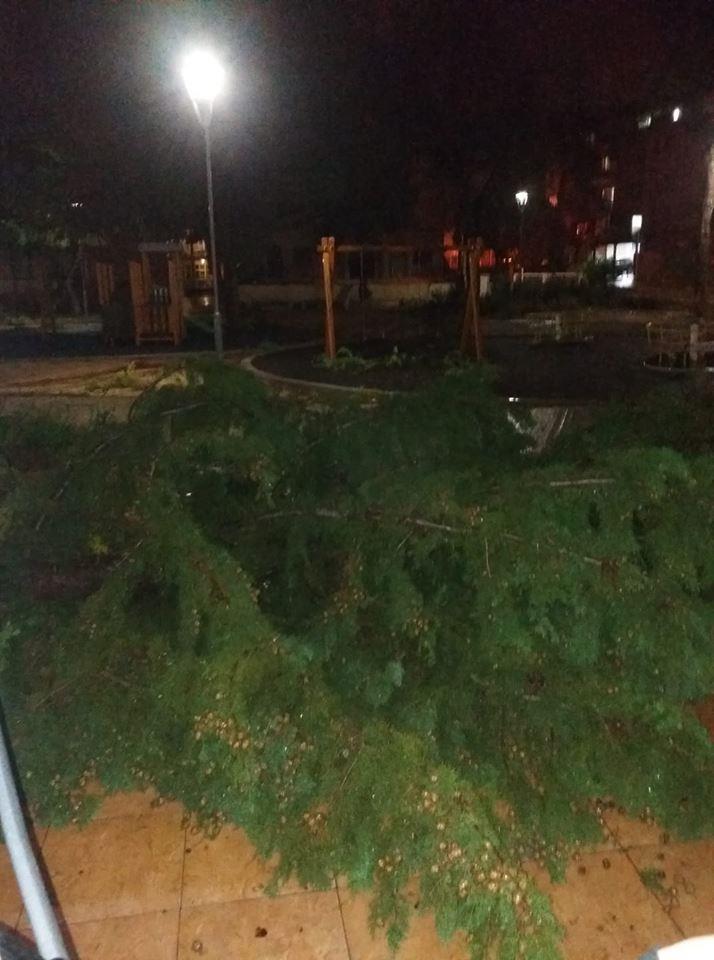 ρτρε