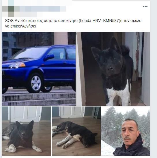 ποστ