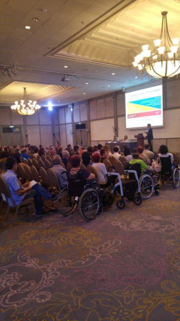 3800265074596025 image