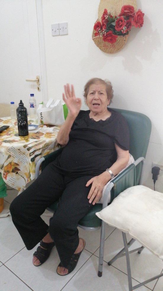 3890252464441030 gir3