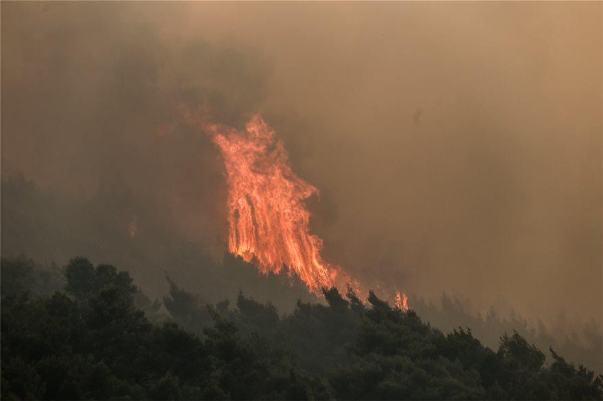 3907795331227197 fire-1