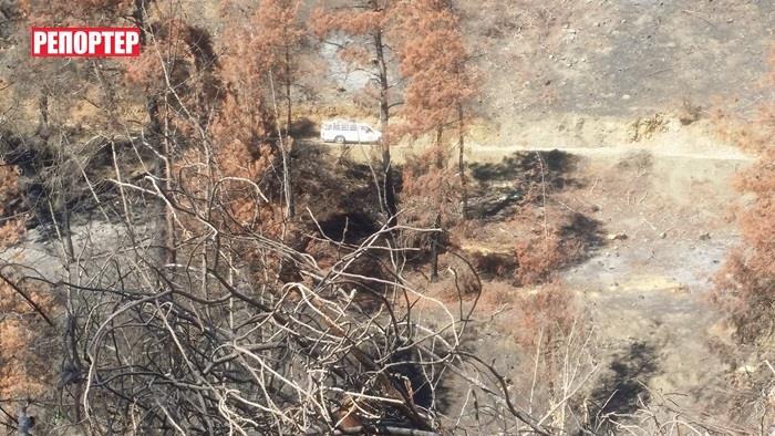 3946519244526110 cache 846x3000 Analog medium 118049 3092016