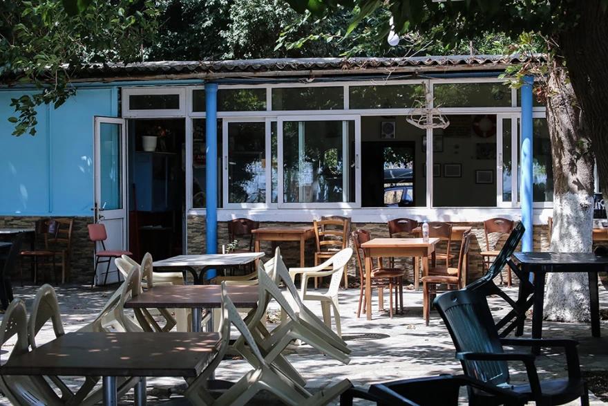 3972309408805308 image