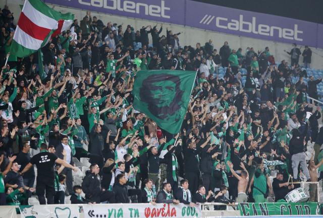 4074490289008143 thumbnail preview (15)