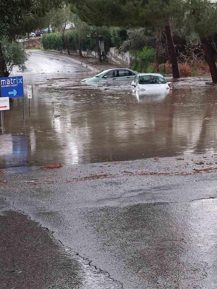 4101108406094300 270225251 4605061056279662 1197848518763174405 n