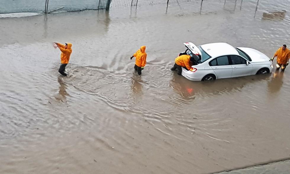 4101175032519826 CNA T4f81a4b026bb474fbe7ccd74957a14c3