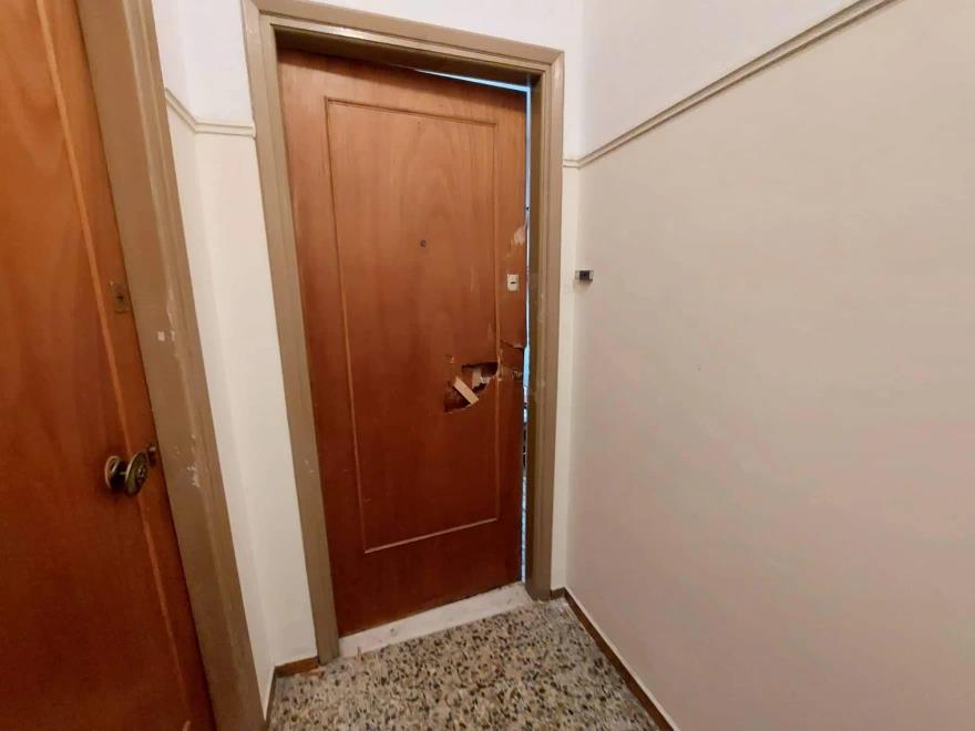 4103650506067430 image