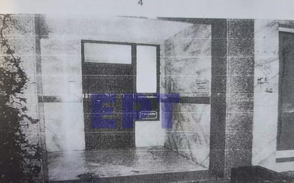 4136446569601974 image