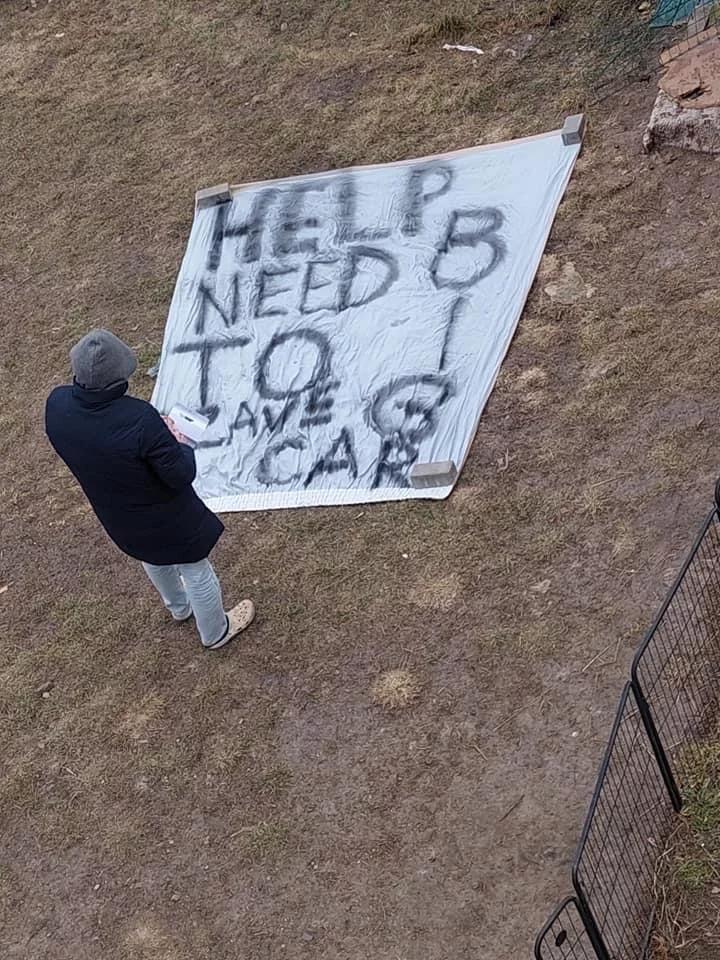 4160511166272956 image