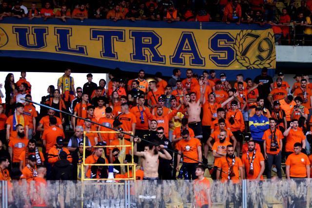 4194571980488874 image