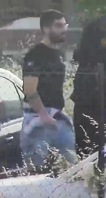 4206794910953137 image