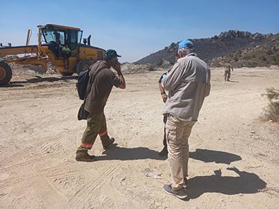 4252143888156533 image