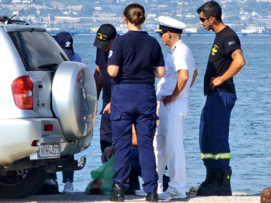 4255892364038238 image