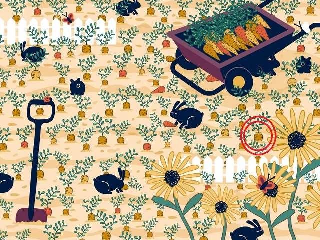 4271467653090015 image