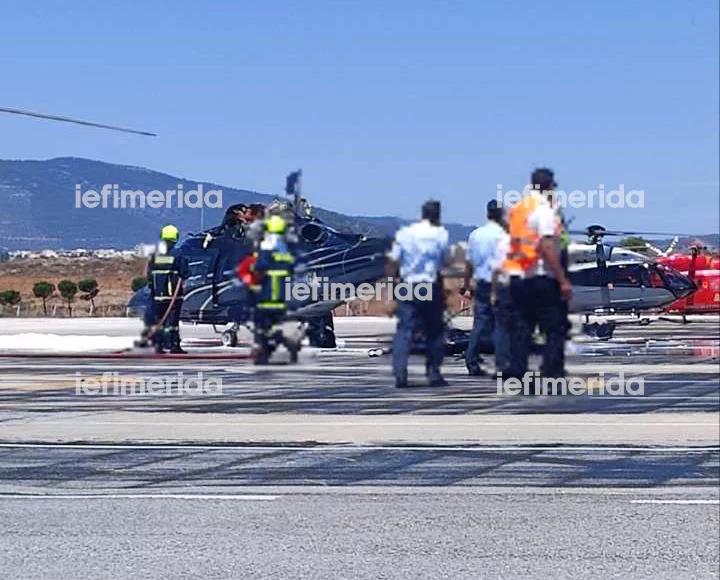 4274655822154979 image