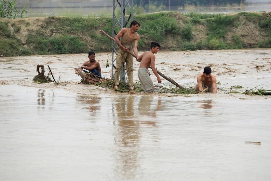 4308451551577504 image