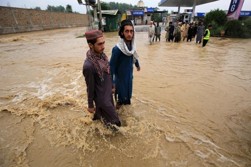 4308451633164981 image