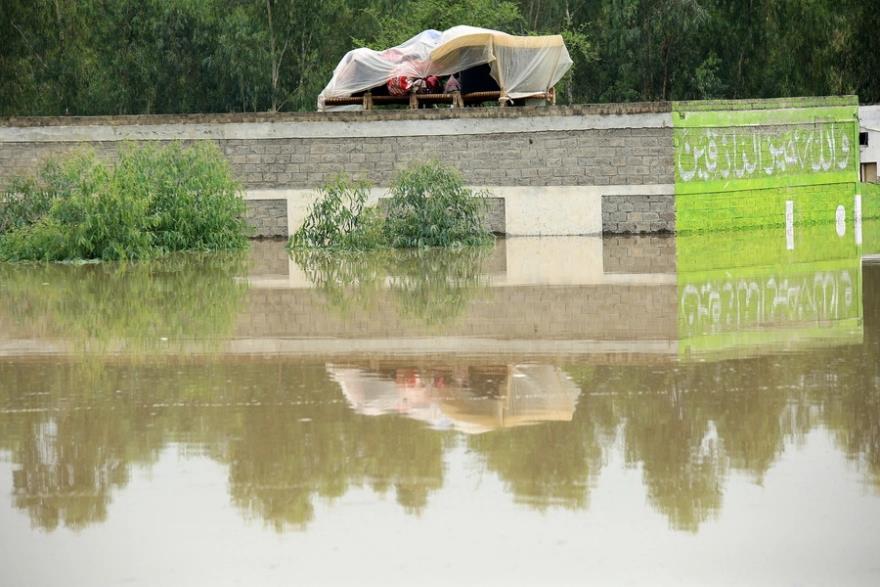 4308451685424646 image