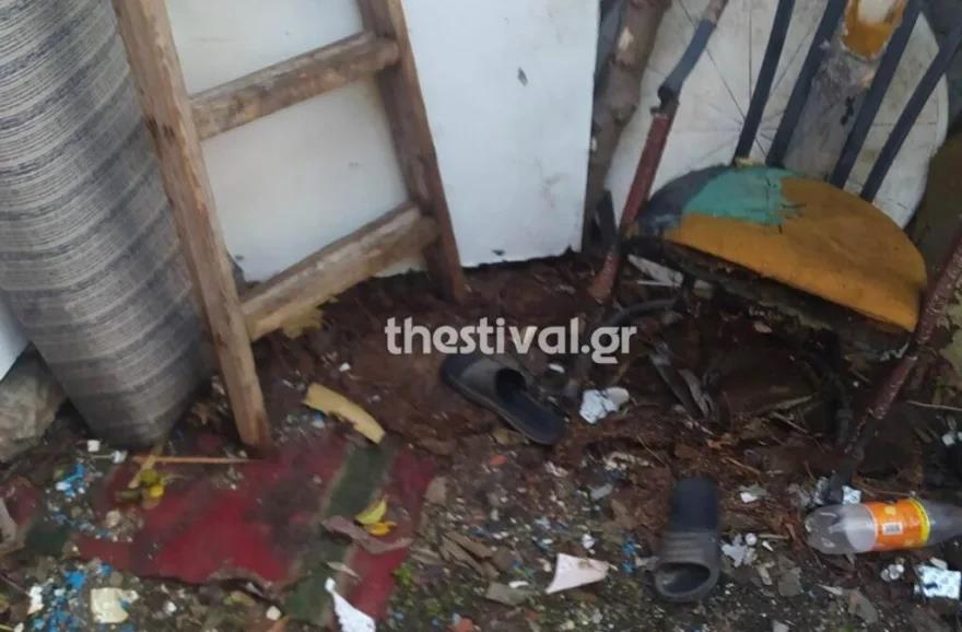 4314336344682067 image