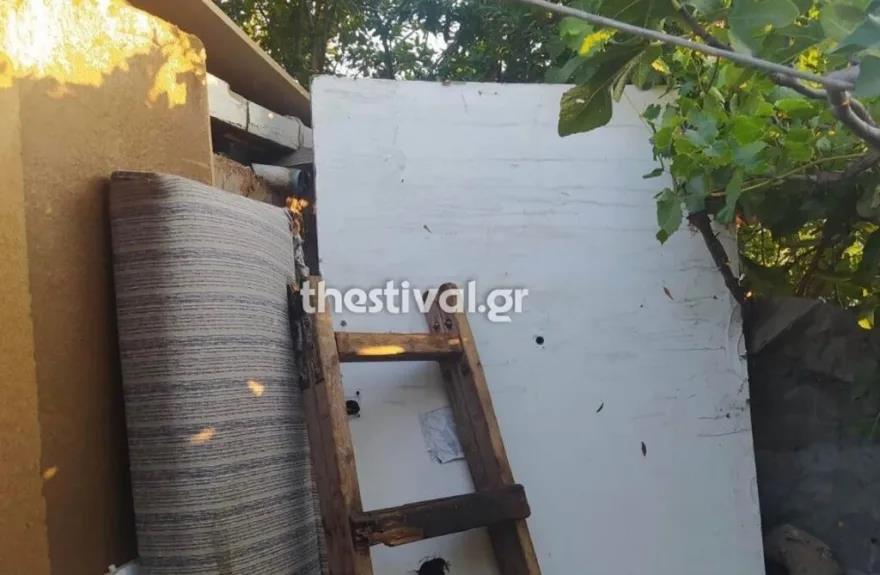 4314336652317987 image