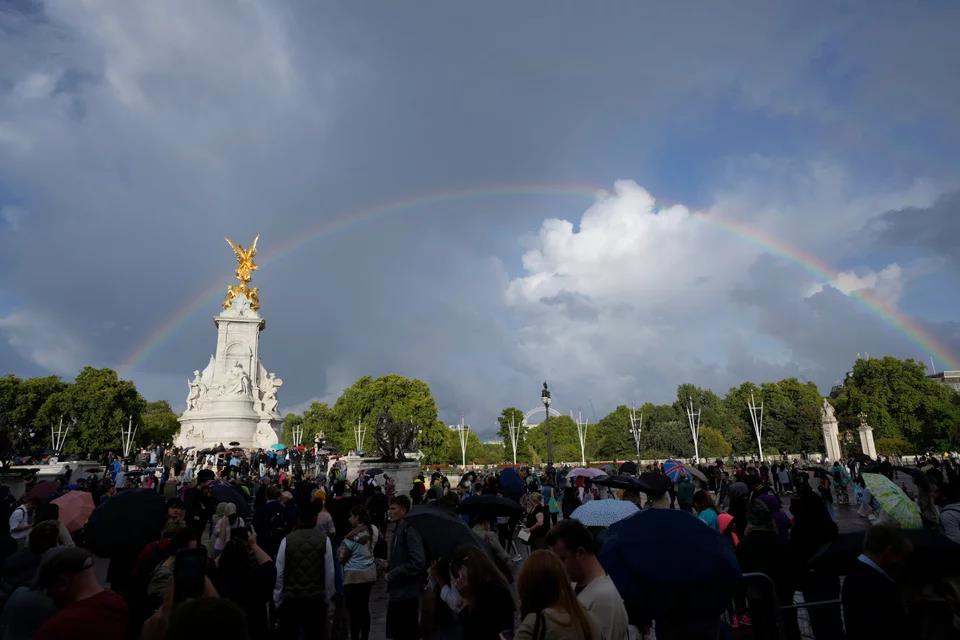 4319104231346242 image