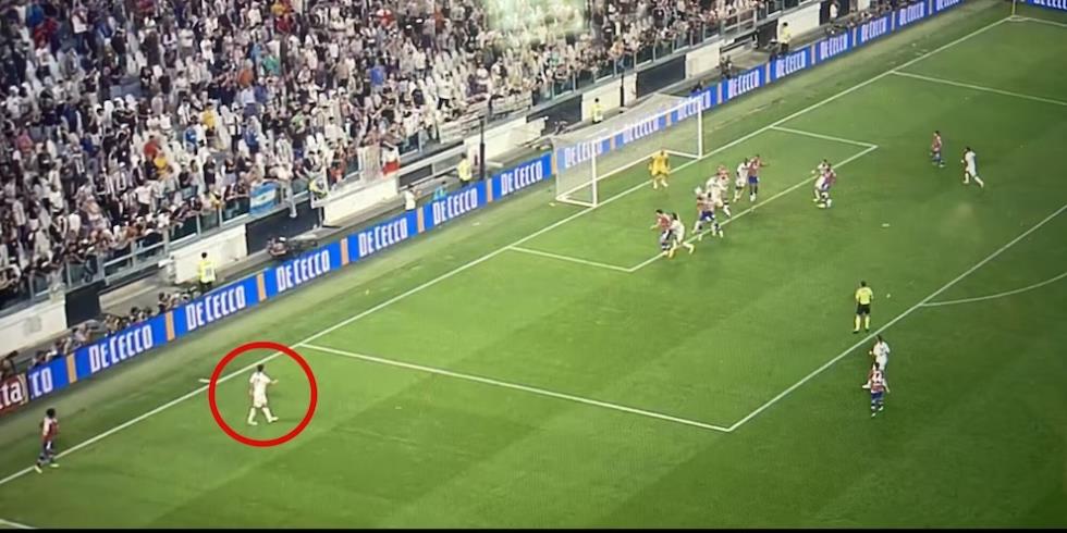 4322183217612081 image