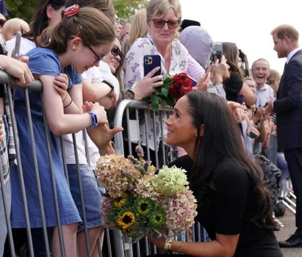 4324690220658341 image