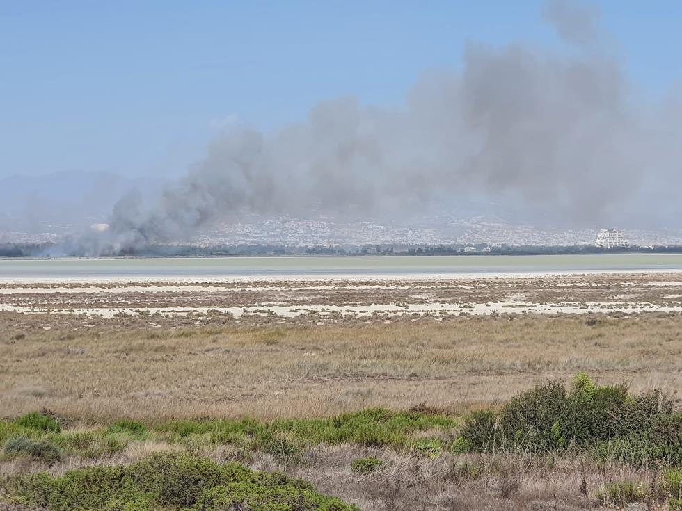 4336160654055979 309221718 10159540074082851 7534701574637541814 n