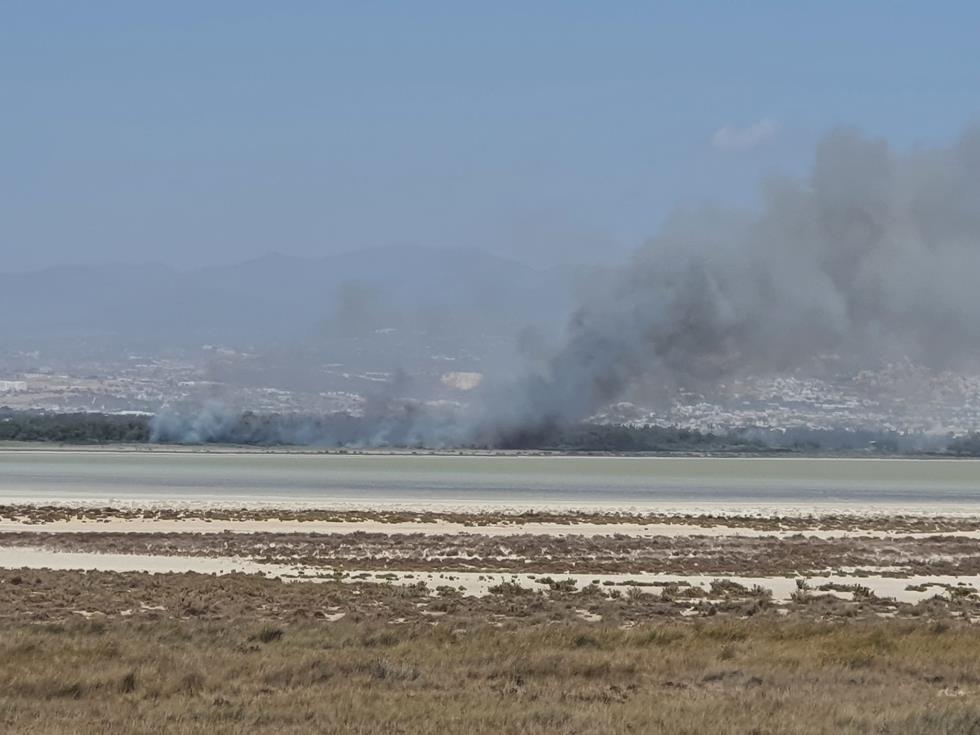 4336160685266379 309474521 10159540074107851 1164145615068389243 n