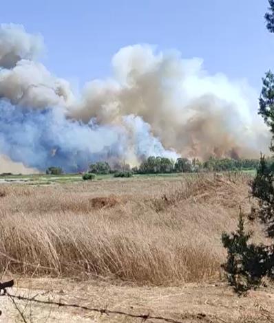 4336160731613823 100