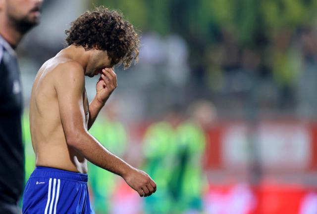 4338943793003476 image