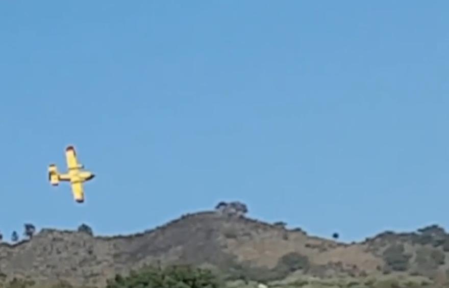 4361437042867416 image