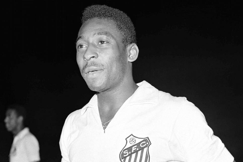 4415860566904049 image