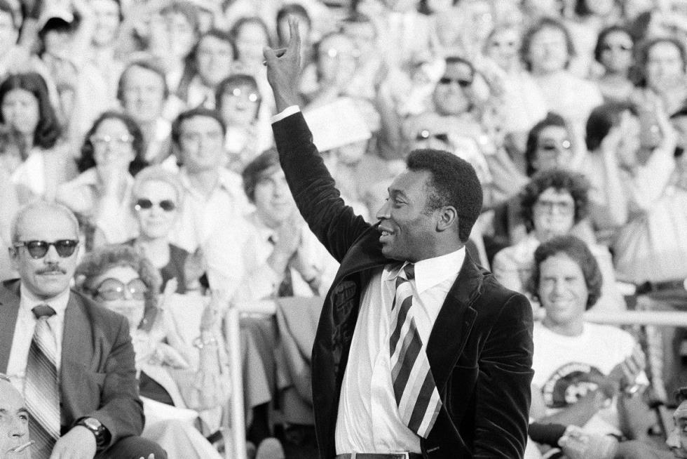 4415861589002621 image