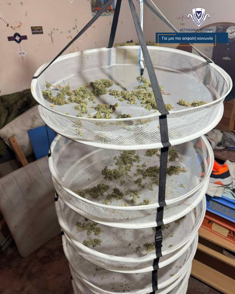 5283773008094281 image