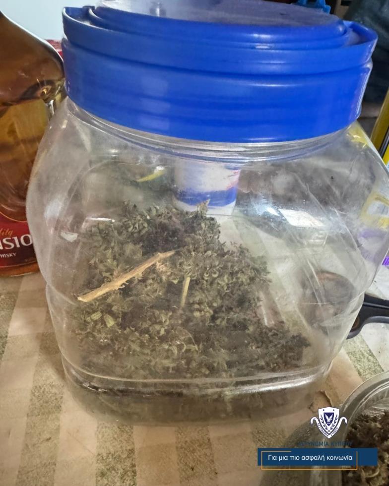 5283773069499545 image