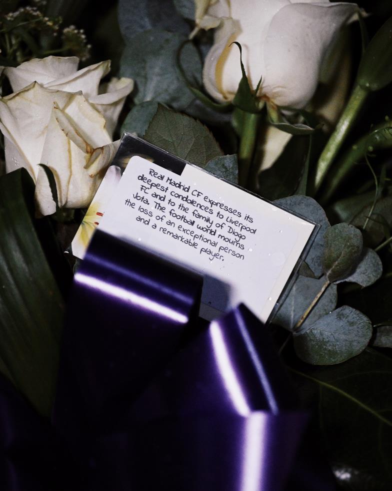 5314771040390751 image