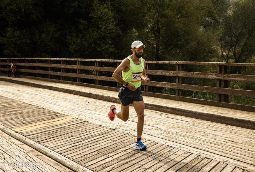 5319377979302021 image