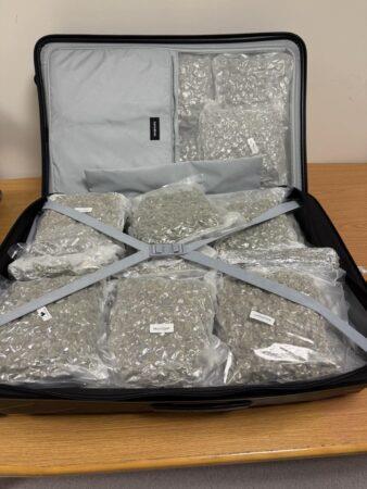 5320051795558912 cache 980x980 Analog medium 1320398 31160 25 08 20 072306