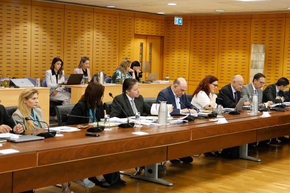 5320149448058801 image