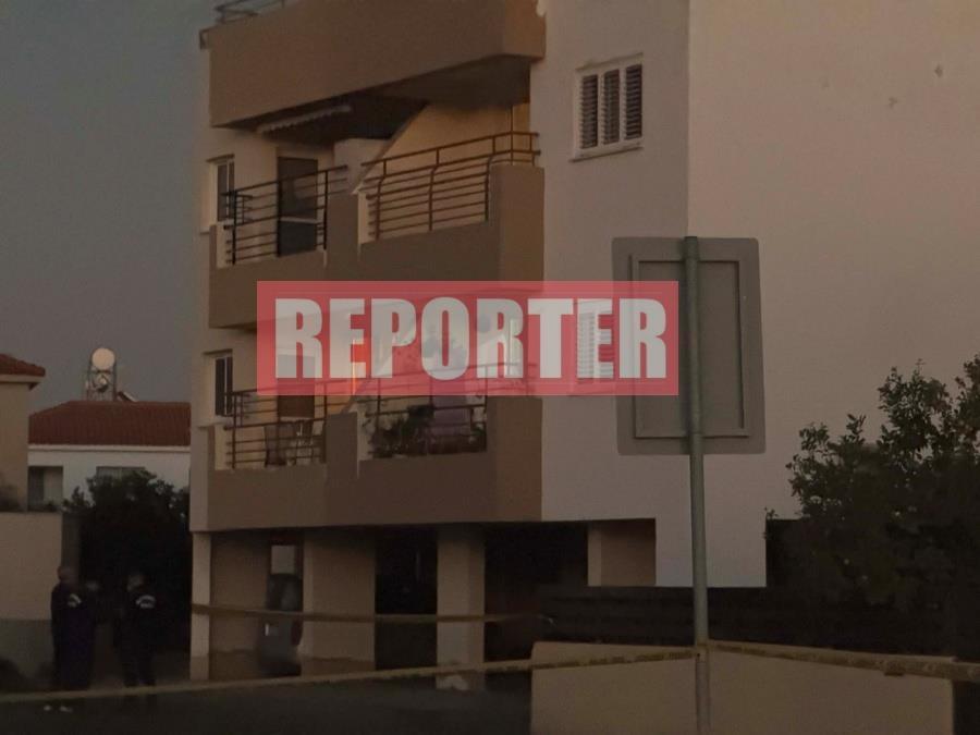 5335655021381708 image