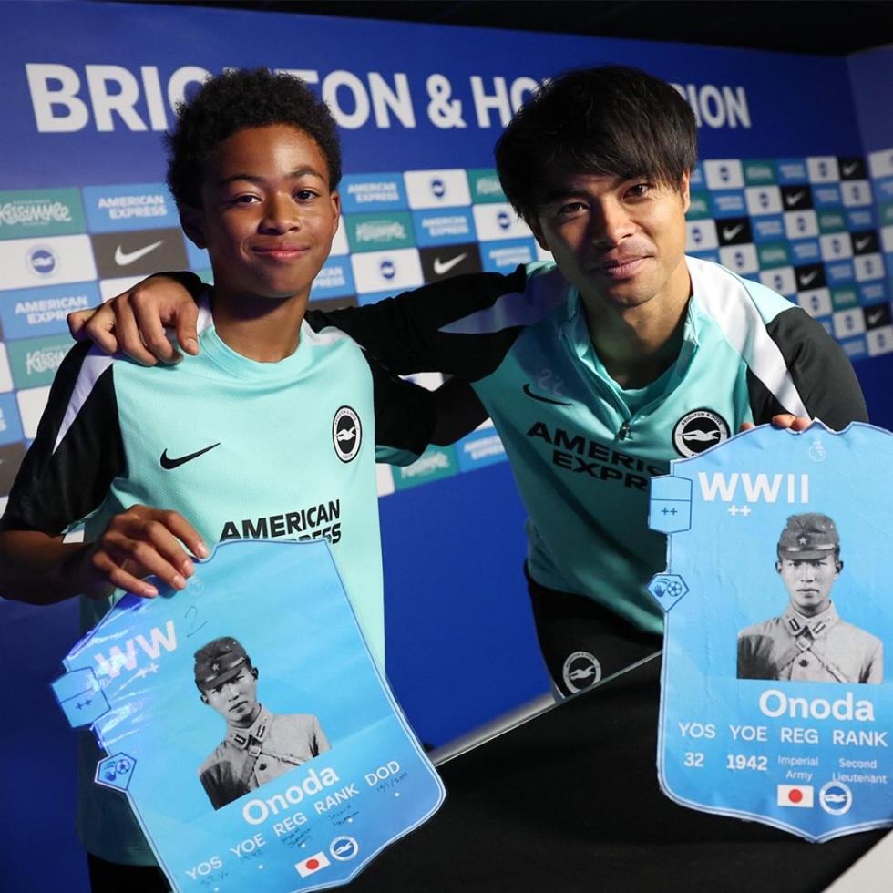 5339057199096145 image