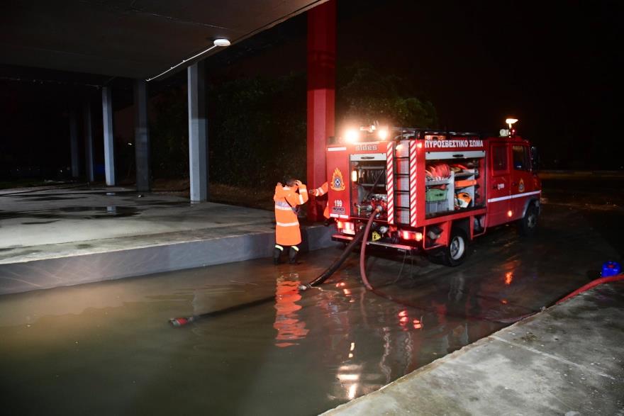 5341080238175946 image