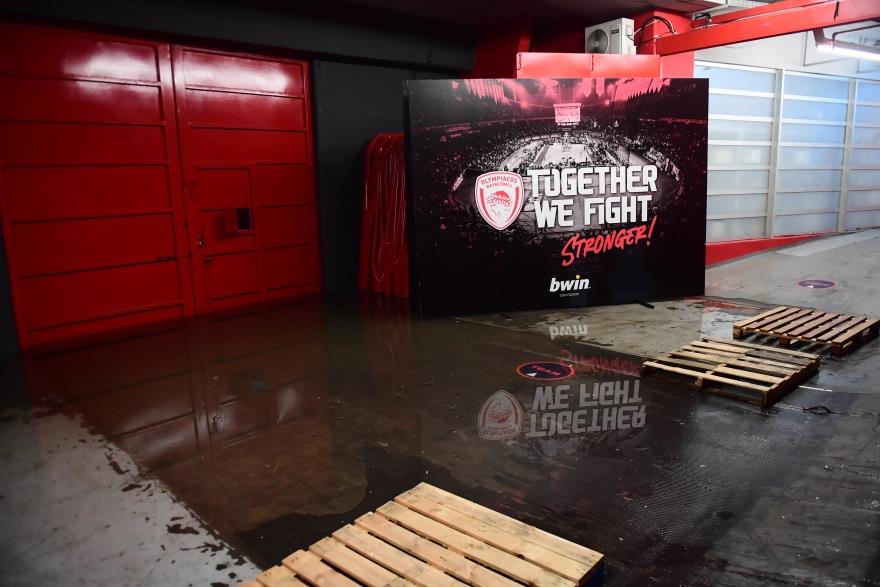 5341080433587757 image