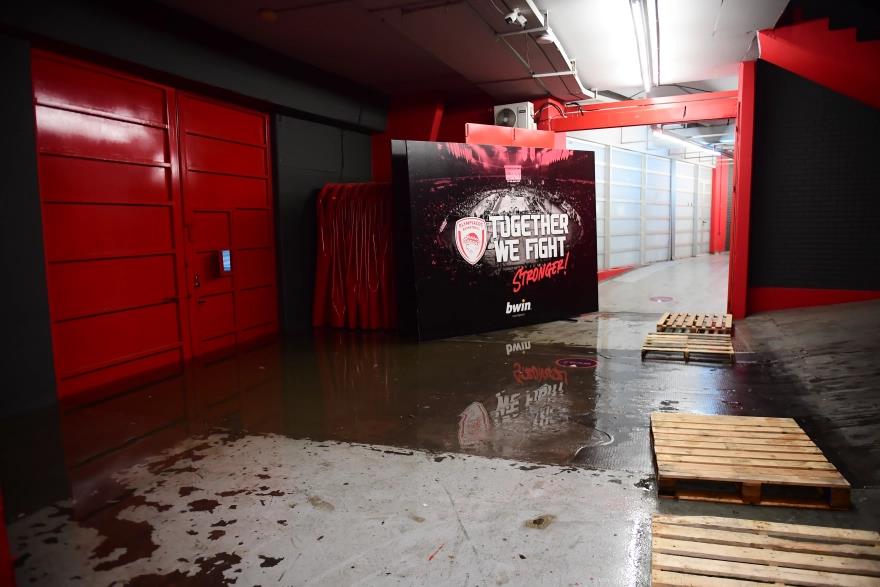 5341080470545103 image