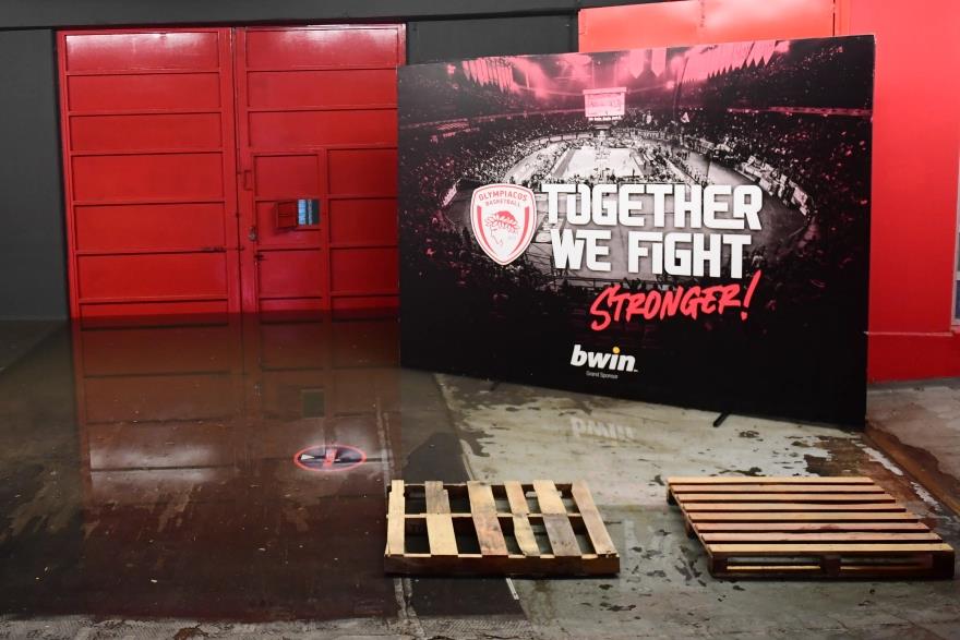 5341080541950666 image