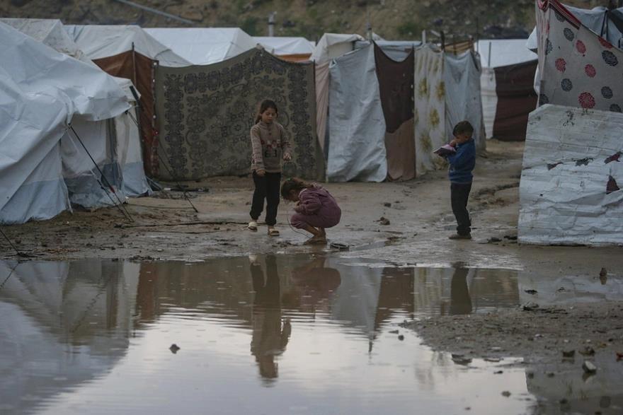 5348063953103102 image