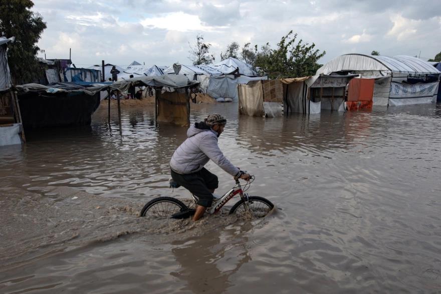 5348064222810784 image