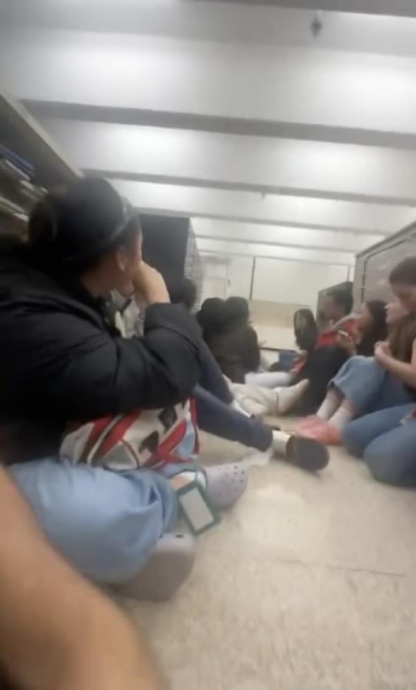 5349395393671833 image