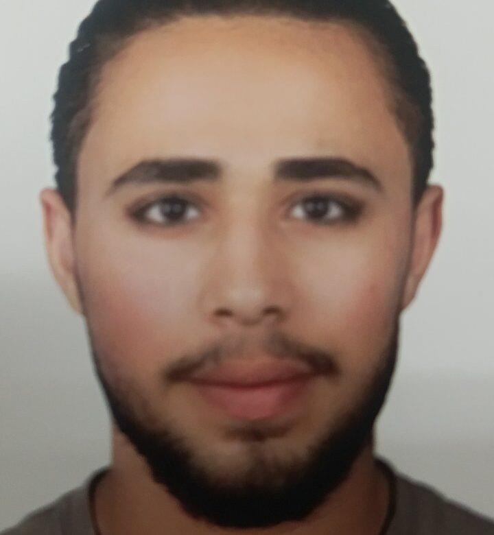 5358002696342933 image